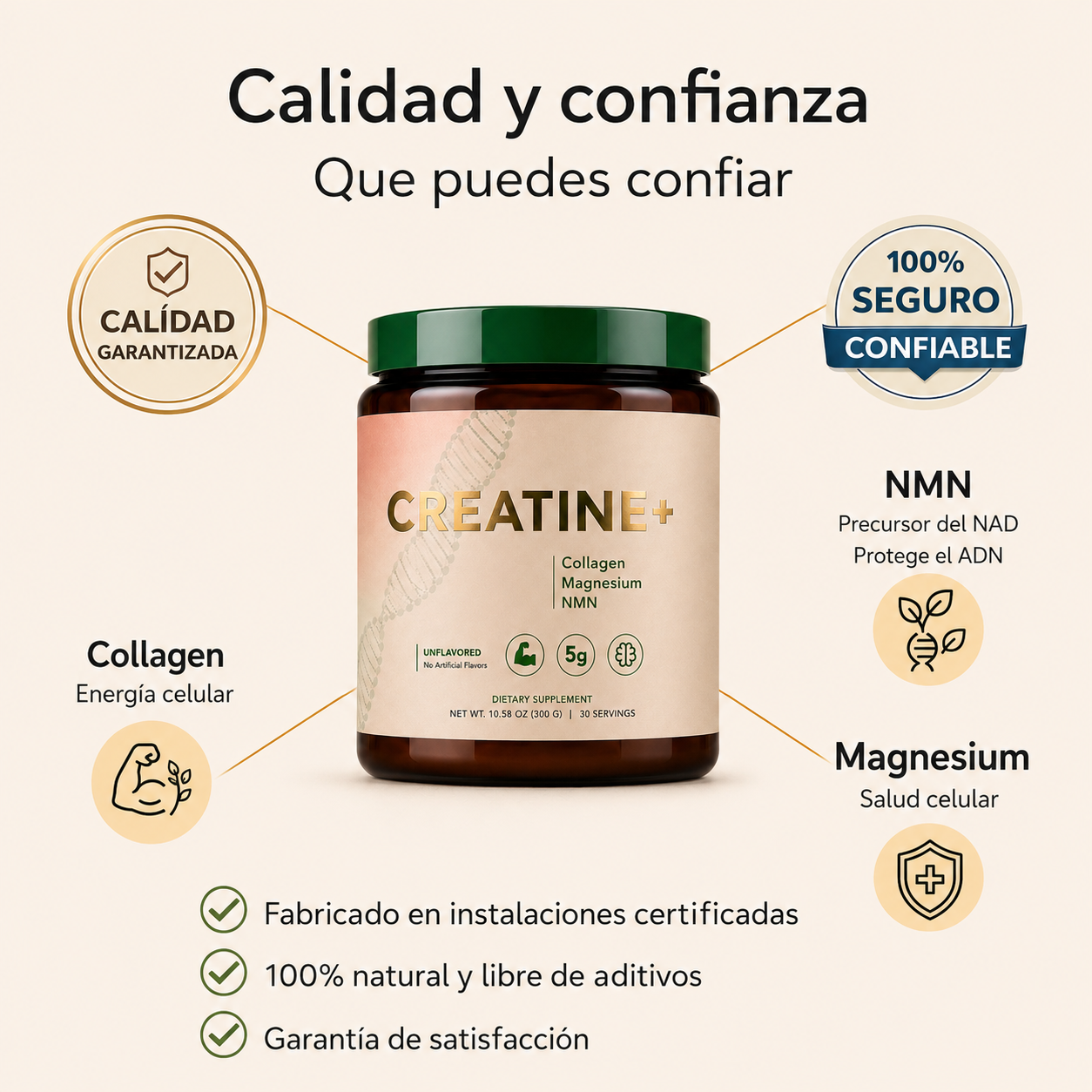 Creatine+® – Fuerza, Energía y Masa Muscular