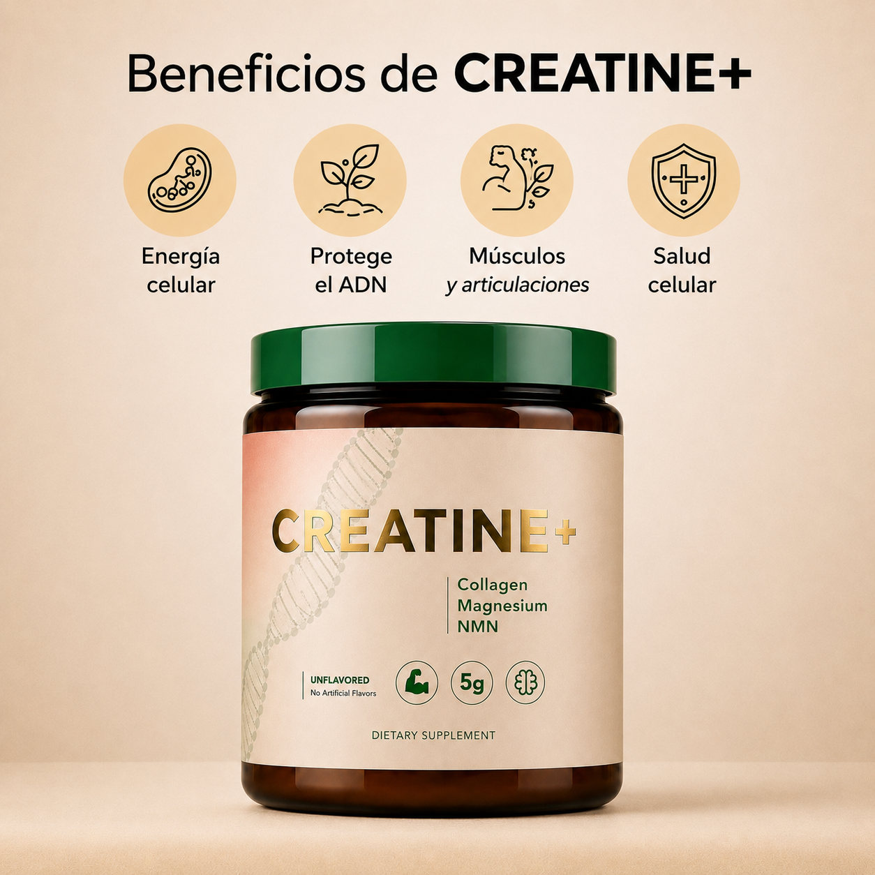Creatine+® – Fuerza, Energía y Salud Cerebral