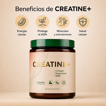 Creatine+® – Fuerza, Energía y Salud Cerebral