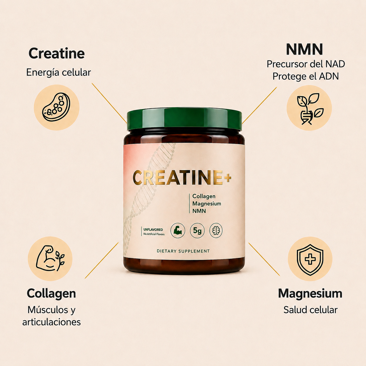 Creatine+® – Fuerza, Energía y Salud Cerebral
