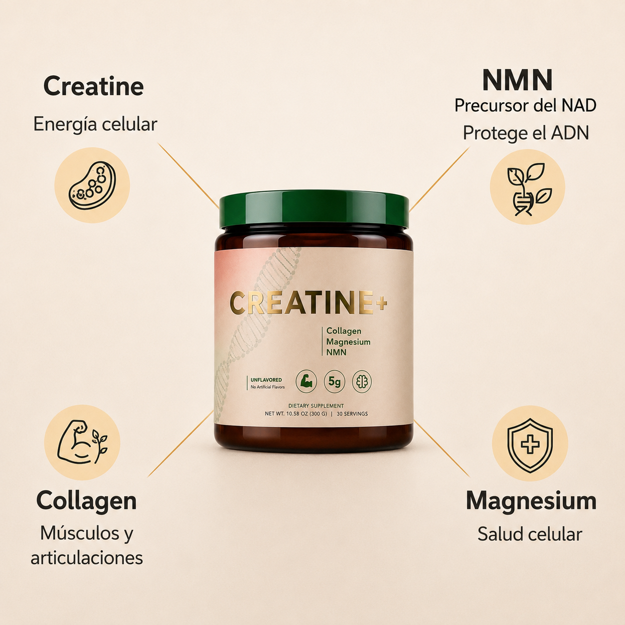 Creatine+® – Fuerza, Energía y Masa Muscular