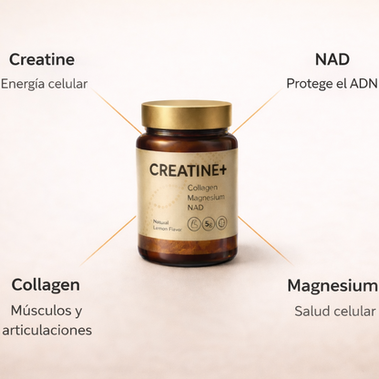 Creatine+® – Fuerza, Energía y Masa Muscular