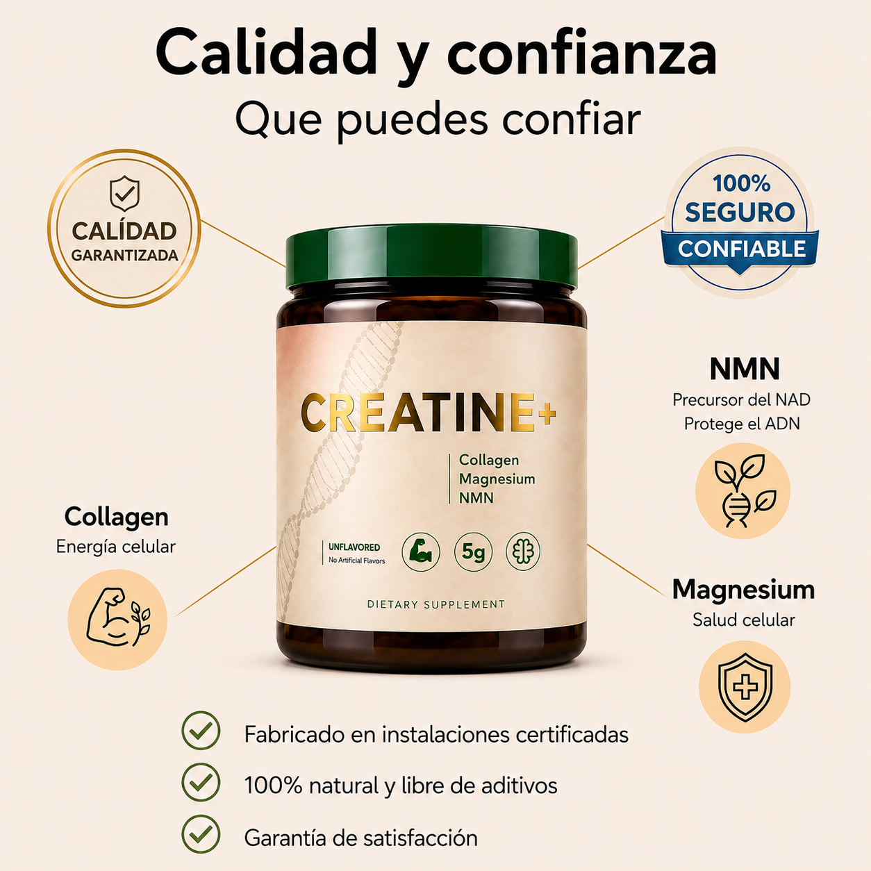 Creatine+® – Fuerza, Energía y Salud Cerebral