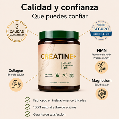 Creatine+® – Fuerza, Energía y Salud Cerebral