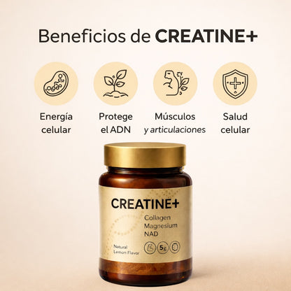 Creatine+® – Fuerza, Energía y Masa Muscular